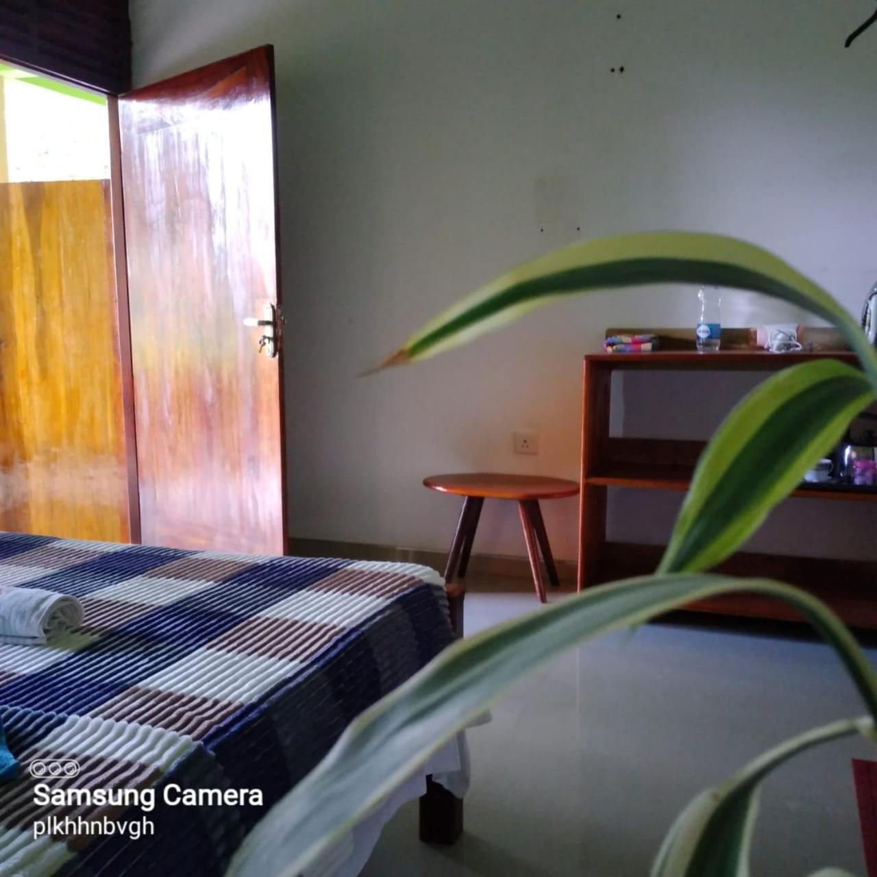 エッラ Pasan Guest Bed & Breakfast エクステリア 写真